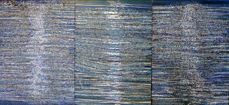 Devrim Erbil - Titresimleri n Büyüsü 180x390 cm 2008.JPG